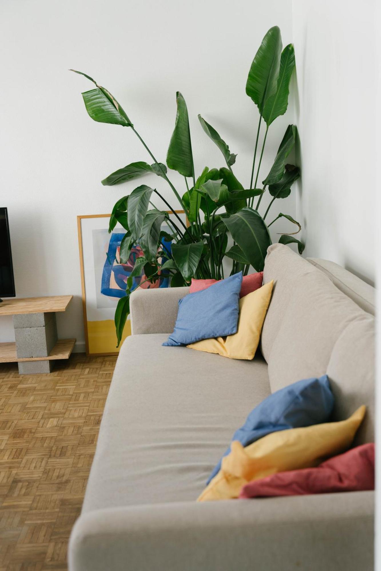 Centrally Located Apartment Close To The Beach Oostende Eksteriør bilde
